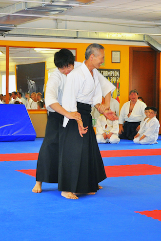  Maestro Aikido Corso Iefeso Cadore